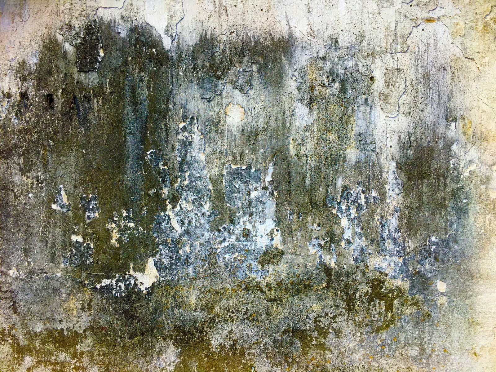 Featured image for “What is Patina? How time creates beauty.”